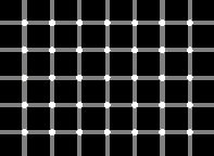Illusion d'optique